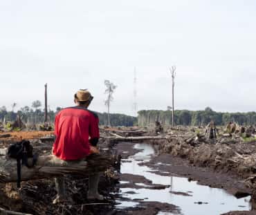 Un homme de dos, assis, contemple les restes de la forêt tropicale dévastée