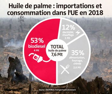 Huile de palme : importations et consommation dans l’UE en 2018