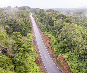 Route en pleine forêt tropicale