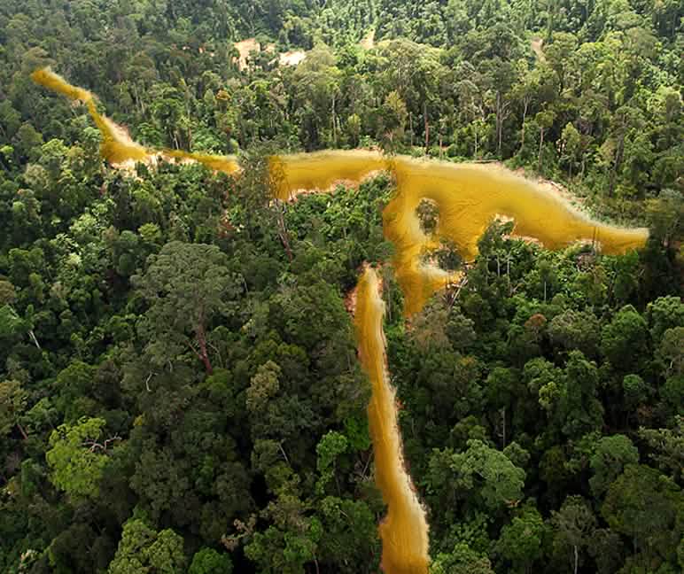 Vue aérienne d'une forêt tropicale sillonnée par une rivière dorée