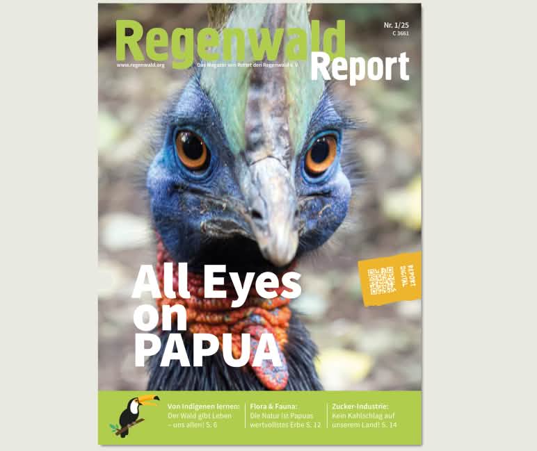 Couverture du bulletin Regenwald Report numéro 1/25