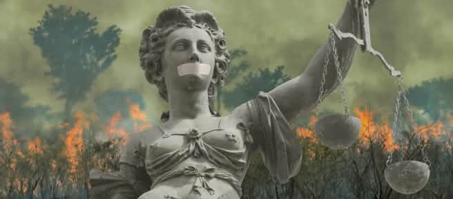 Photomontage : Justitia devant la forêt tropicale en flammes