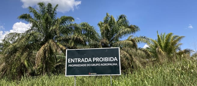 Panneau de signalisation devant une plantation de palmiers à huile sur lequel est inscrit (en brésilien) : ENTRÉE INTERDITE - PROPRIÉTÉ DU GROUPE AGROPALMA