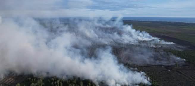 Fumée provenant d’un incendie de tourbière