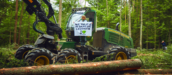 Protestation contre l’abattage d’arbres dans la forêt de Bialowieza, inscrite au patrimoine mondial de l'Unesco (Pologne)