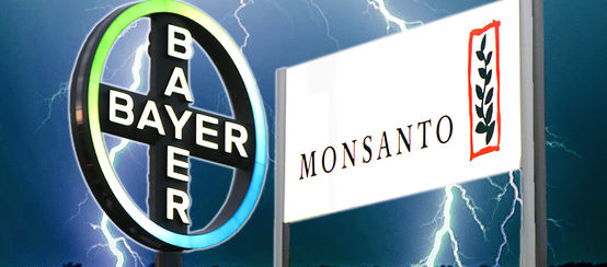 Bayer Monsanto Fusion