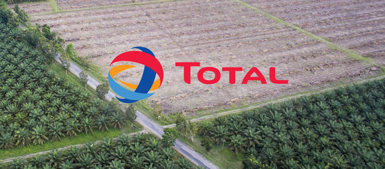 Logo de Total avec en arrière-plan des plantations de palmiers à huile en Indonésie