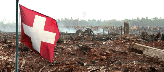 Drapeau suisse planté au milieu des restes d’une forêt incendiée (photomontage)