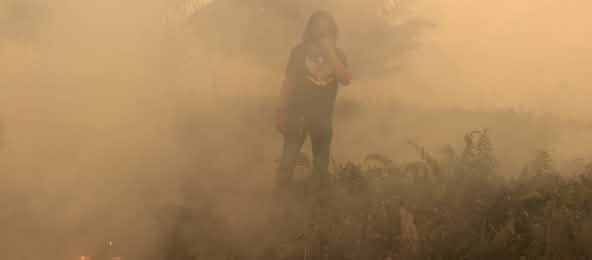Notre partenaire au milieu de zones dévastées par le feu à Sumatra Feux déclenchés dans le village de Puding, district de Muaro Jambi, Sumatra, septembre 2019