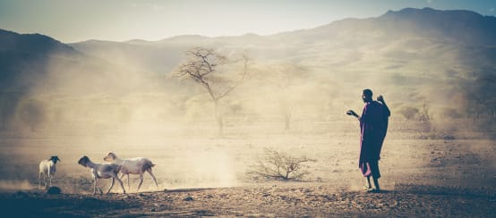 Éleveur de bétail massaï en Tanzanie