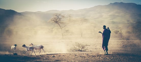 Les bergers massaïs subissent des violences depuis des décennies (© Patrick Sertore) Pasteur massaï en Tanzanie