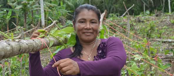 826 peuples indigènes vivent en Amérique du Sud et dans les Caraïbes, dont 305 au Brésil (© FAO/ Rosana Martín G. - CC BY-NC-SA 2.0) Une femme indigène dans la forêt tropicale