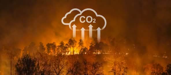Les incendies de forêt et la culture sur brûlis contribuent à la crise climatique mondiale (© Toa55/Istockphoto) Les incendies de forêt et la culture sur brûlis contribuent à la crise climatique mondiale