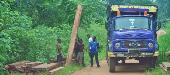 Exploitation forestière illégale au Nigeria (© Rettet den Regenwald / Mathias Rittgerott) Des hommes chargent des planches sur un camion au Nigeria