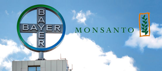 Bayer Monsanto