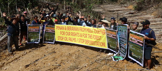Des indigènes Penan et Berawan manifestent contre le déboisement de la forêt de Mulu dans l’état du Sarawak en Malaisie