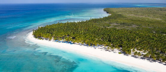 Vue aérienne de l’île Saona en République Dominicaine avec ses cocotiers et sa mer des Caraïbes turquoise