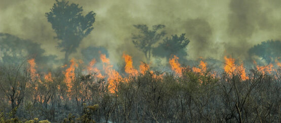 Incendie de forêt en Amazonie brésilienne