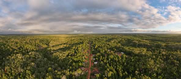 Une route est la porte d’entrée pour les bûcherons et les exploitants de ressources naturelle (© Pusaka) Vue aérienne du village de Wambon dans le district de Boven Digoel (province de Papouasie, Indonésie)