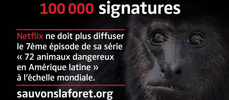 Singe Hurleur noir (Alouatta carayá) avec sur fond noir avec le texte "en danger"