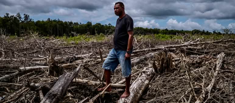 Un homme dans une zone déboisée à Wanam, près de Merauke, en Papouasie du Sud