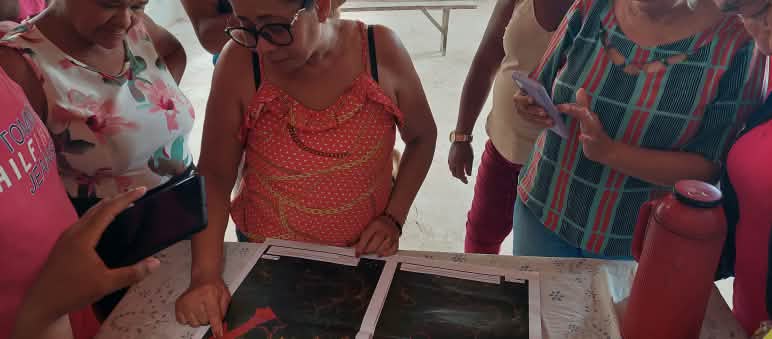 Un groupe de six femmes examine deux plateaux sur lesquels sont disposées des graines