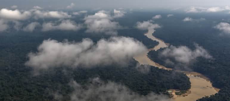 La nouvelle loi de “simplification” est dévastatrice pour la protection de l’environnement et des populations en Amazonie Vue aérienne de la forêt amazonienne