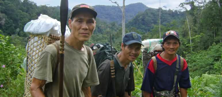 Les Penan vivent en nomades dans et de la forêt Trois indigènes du peuple Penan transportent des bagages dans des paniers sur leur dos à travers la forêt tropicale malaisienne