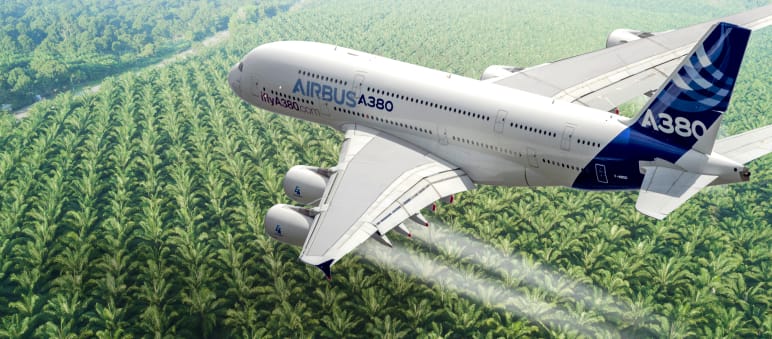 Photomontage : un avion Airbus en train de survoler une plantation de palmiers à huile