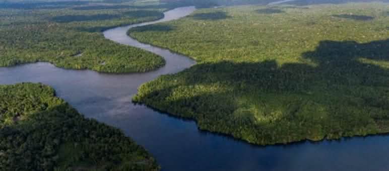 Aru en Indonésie : 800 îlots de calcaire séparés par des bras de mer Vue aérienne sur des boisées en Indonésie