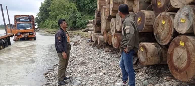 Deux hommes devant un tas de troncs d’arbres et un camion