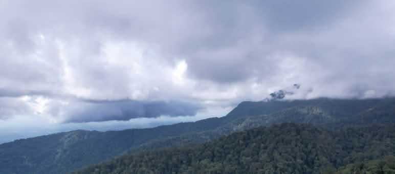 Paysage de montagnes boisées