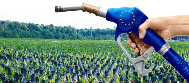 La sortie de l’huile de palme à petits pas Photomontage : culture d'huile de palme et pompe à essence aux couleurs de l'Union européenne