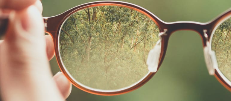 La transparence augmente la confiance Une paire de lunettes devant un fond flou et dans laquelle la forêt apparaît plus nettement dans les verres