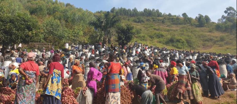 Marché de charbon de bois illégal provenant du parc national de Kahuzi-Biega, dans le village de Murhesa, à l’été 2025