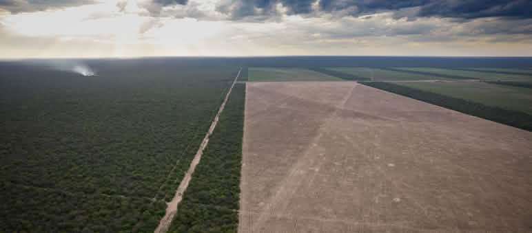 Une surface boisée à côté d’une surface complètement vide.