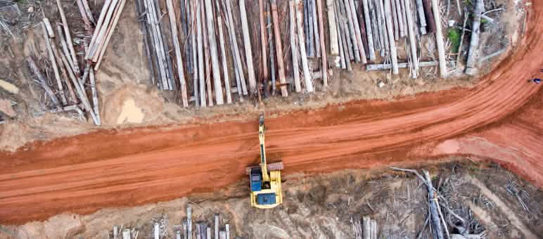 Korindo a transformé la forêt tropicale de Papouasie en plantations de palmiers à huile Vue aérienne : un excavateur du groupe Korindo en train de défricher la forêt pour ses plantations d’huile de palme dans la province indonésienne de Papouasie