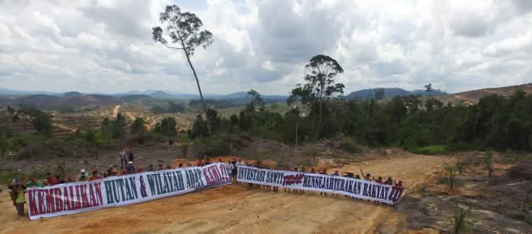 Manifestations contre les plantations de palmiers à huile à Bornéo Manifestations contre l’huile de palme dans la forêt tropicale de Bornéo