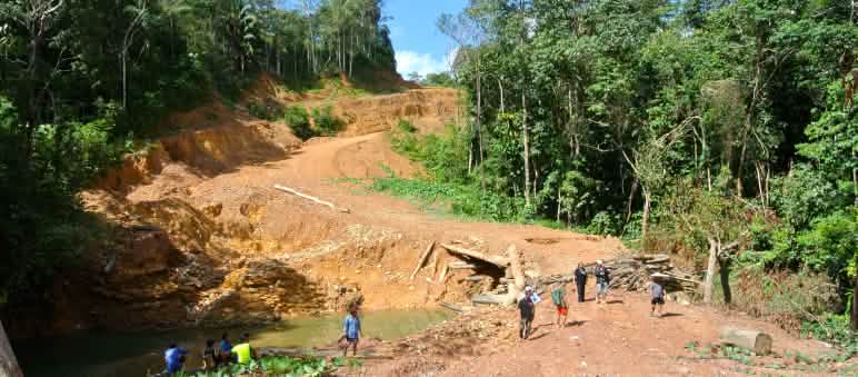 Les entreprises forestières percent des voies dans les forêts appartenant aux indigènes, souvent de façon illégale Zone défrichée au Sarawak (Malaisie)