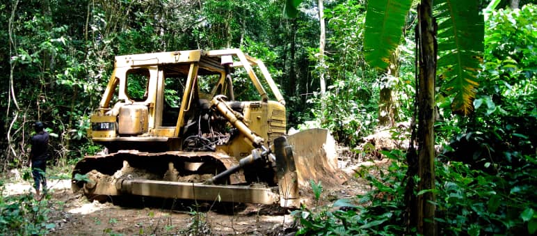 Bulldozer dans le parc national de Cross River