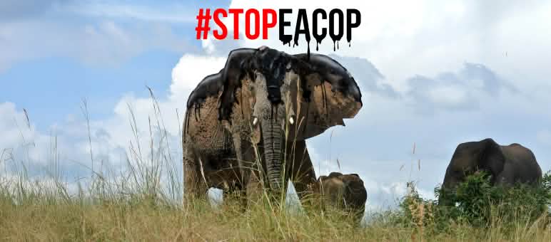 Photomontage : Le pétrole est un grand danger pour les éléphants - #StopEACOP