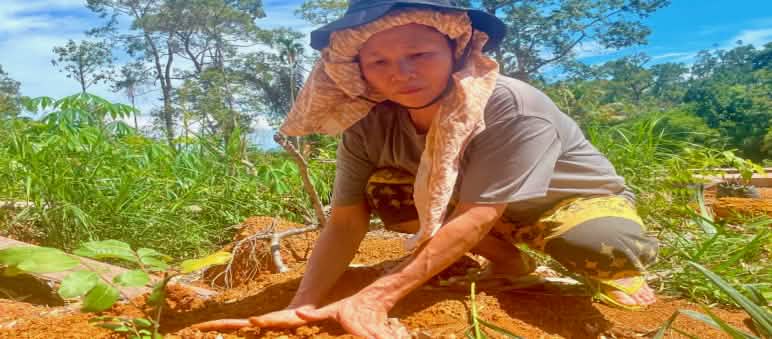 Une femme est accroupie par terre et plante un jeune arbre