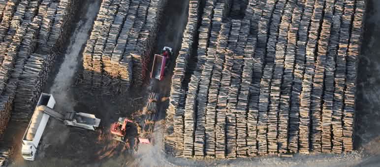 Tas de bois dans le sud de la France pour l'approvisionnement de la centrale E.On / Uniper à Gardanne