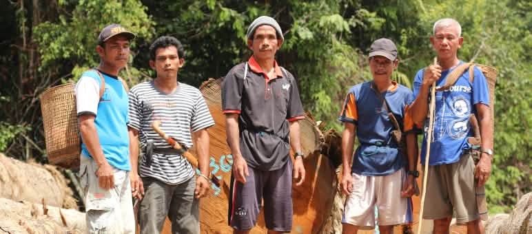Le peuple Dayak Tomun veut préserver la forêt de Kinipan Des indigènes Dayak Tomun dans la forêt de Kinipan