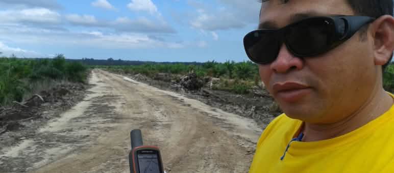 Covid ou non, notre partenaire Matek documente la déforestation causée par l’huile de palme en Malaisie Matek Geram avec un GPS sur une plantation de palmiers à huile