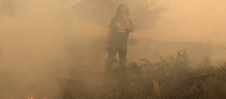 Notre partenaire au milieu de zones dévastées par le feu à Sumatra Feux déclenchés dans le village de Puding, district de Muaro Jambi, Sumatra, septembre 2019