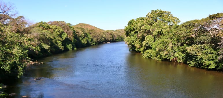 Le fleuve Sainte-Marie, avec des arbres sur ses rivages
