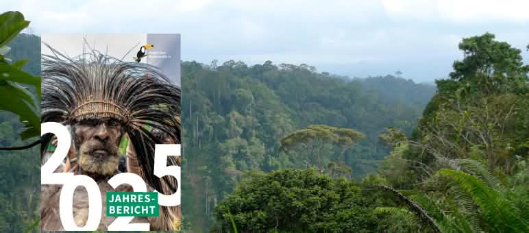 Le portrait d’un chef de tribu et une image représentant une forêt verdoyante.