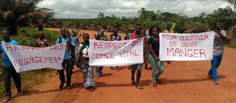 Manifestations contre l’entreprise d’huile de palme Socfin au Cameroun