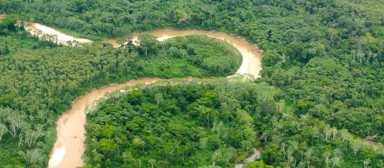 Vue aérienne d’un fleuve serpentant la forêt en Amazonie péruvienne